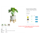 External Links-Affiliate Links-Competitive price links